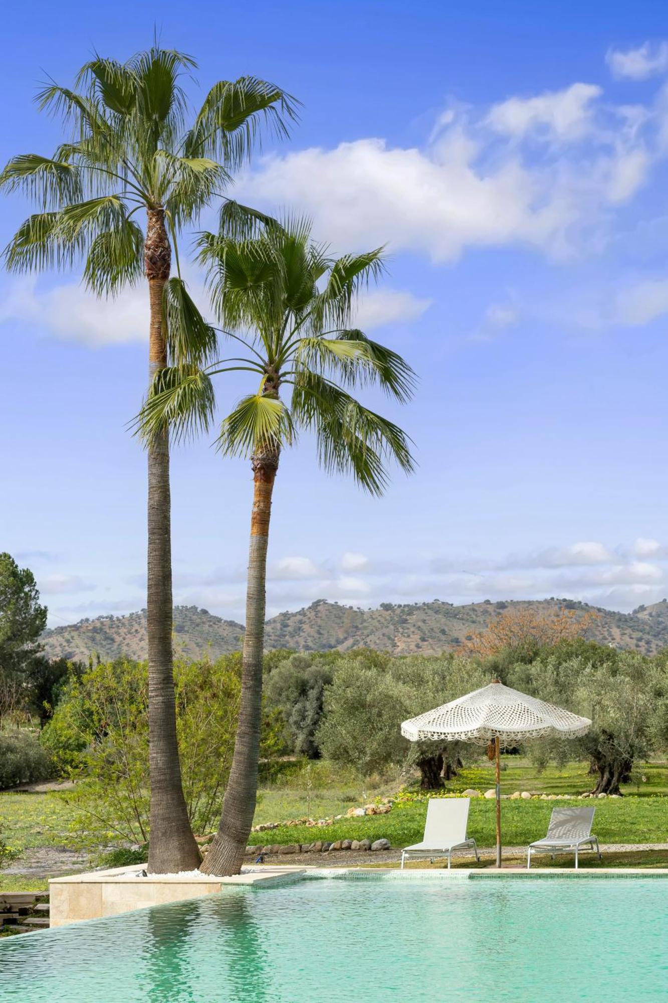 Finca La Familia Naranja Coín エクステリア 写真